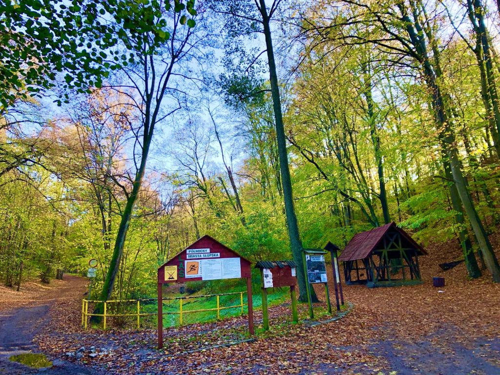 Príroda v okolí apartmánu