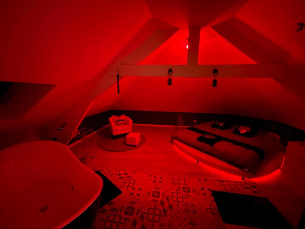 Fotografie z fotogalerie ubytování Redroom Loveroom Chambre Spa privative Insolite Thème 50 nuances de grey v destinaci Douchy-les-Mines