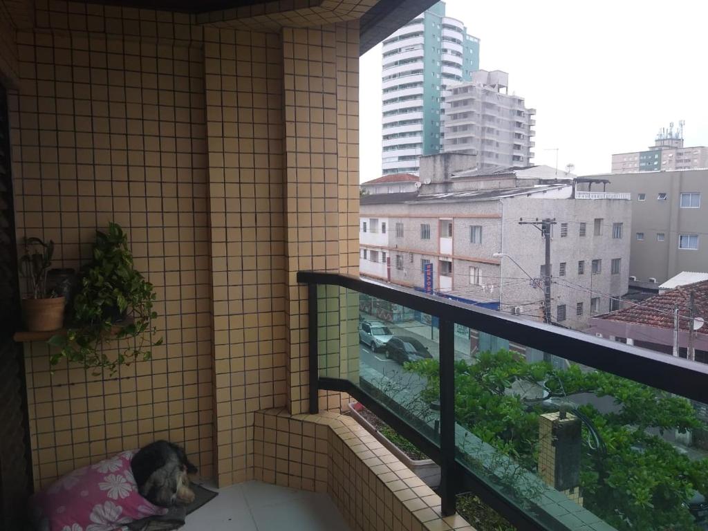  Apartamento no centro de Praia Grande/SP