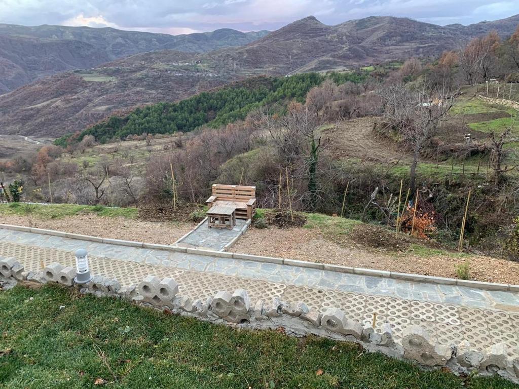 Vila Sofia - Guest House - Imazhi 11
