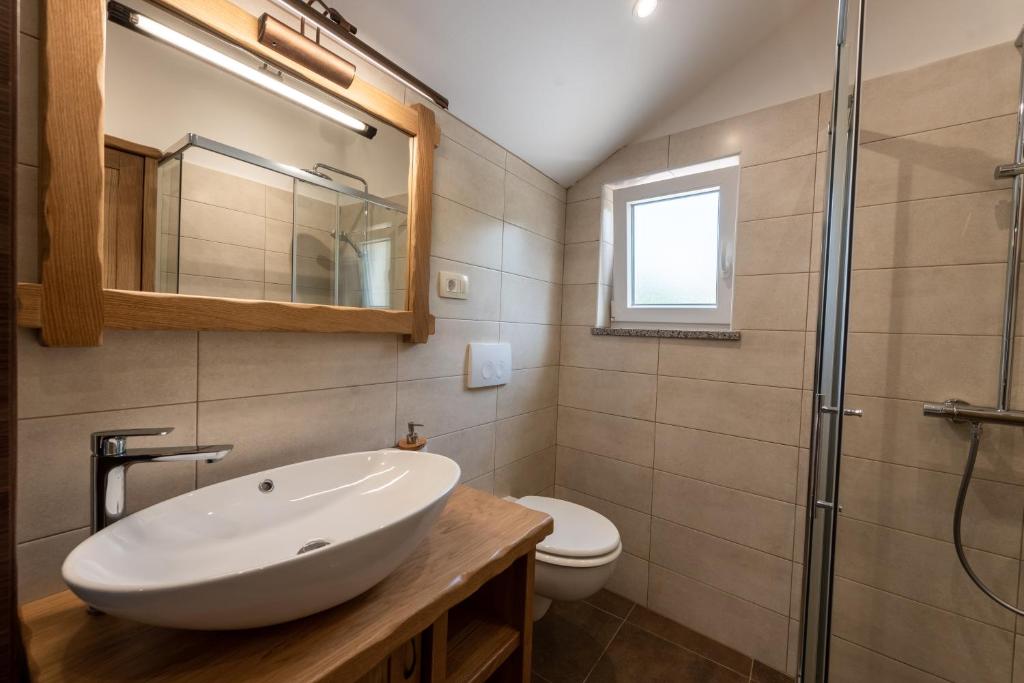 łazienka z umywalką i toaletą w obiekcie 2 Apartments in Old Stone House near Opatija w mieście Ičići