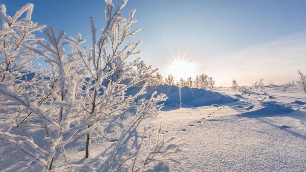 Greenhouse om vinteren