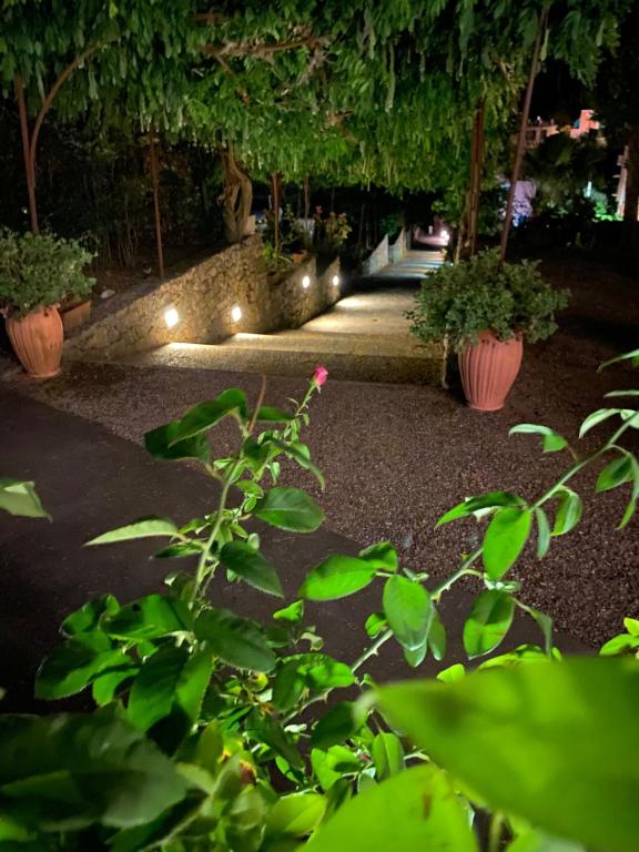 Zahrada ubytování Villa Accini
