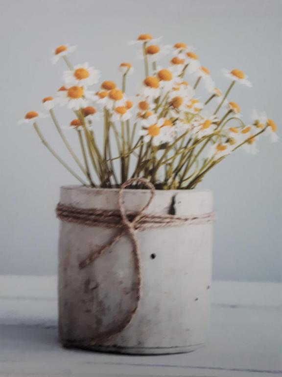 a white vase with flowers in it at Kamilla Apartman Villapark in Bük