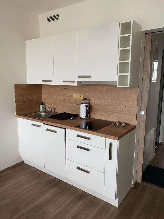 Kuchnia lub aneks kuchenny w obiekcie Apartment David O2 Arena Prague