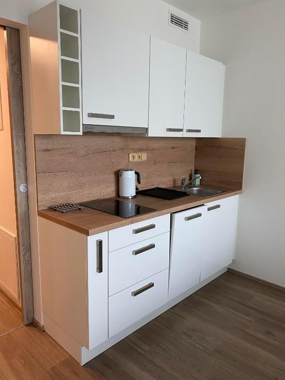 Kuchnia lub aneks kuchenny w obiekcie Apartment David O2 Arena Prague