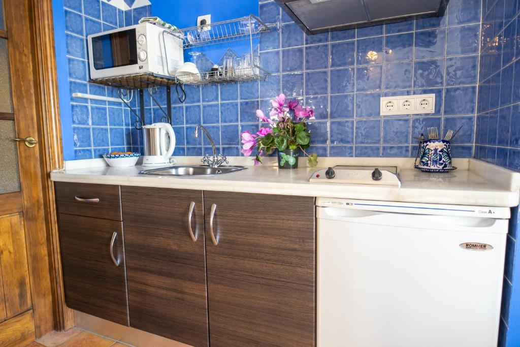 Kuchyň nebo kuchyňský kout v ubytování Apartamentos Montesclaros