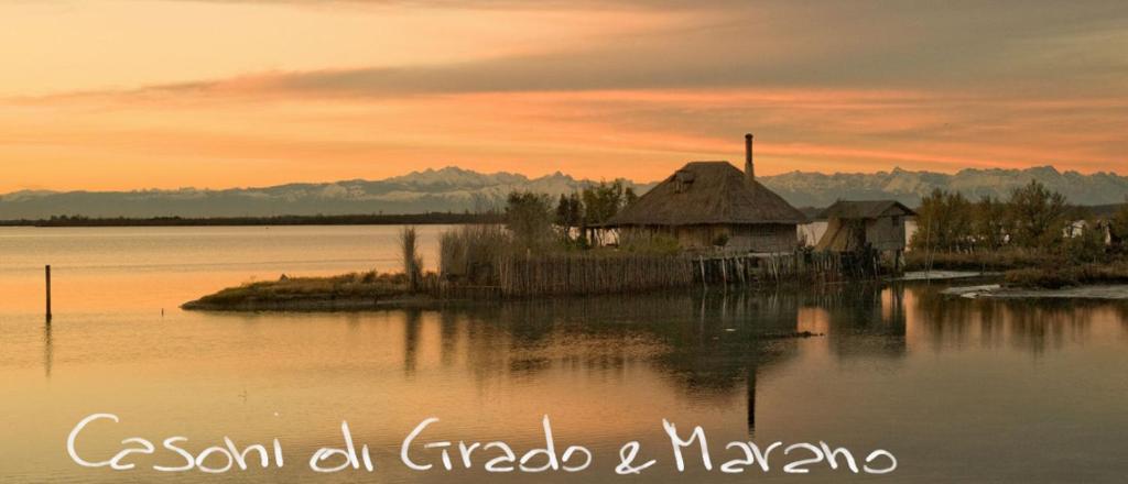 Príroda v okolí of the country house