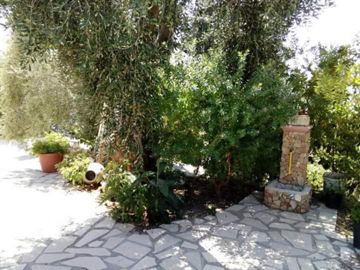Zahrada ubytování Borgo Degli Ulivi Rooms