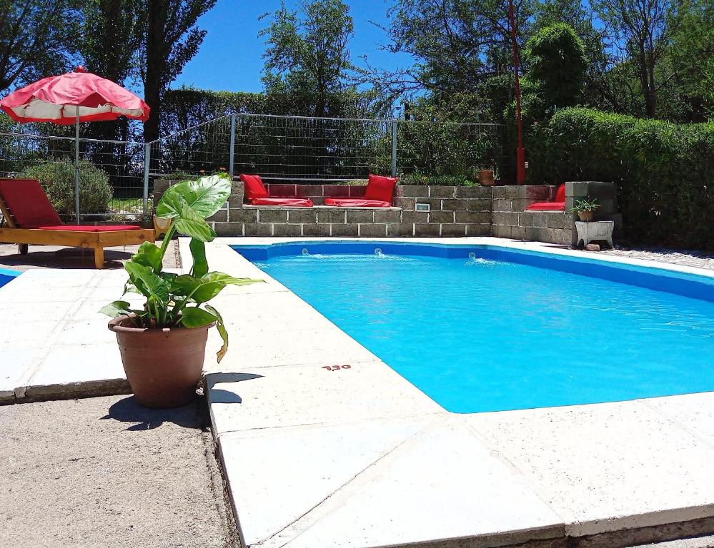 una piscina con una maceta y una sombrilla en Sierras Del Sol en Villa Carlos Paz