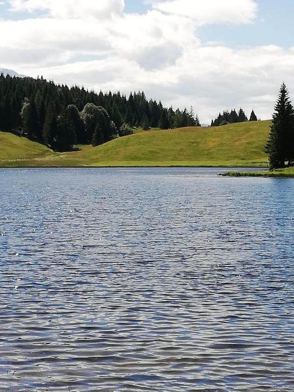 Příroda nedaleko apartmánu