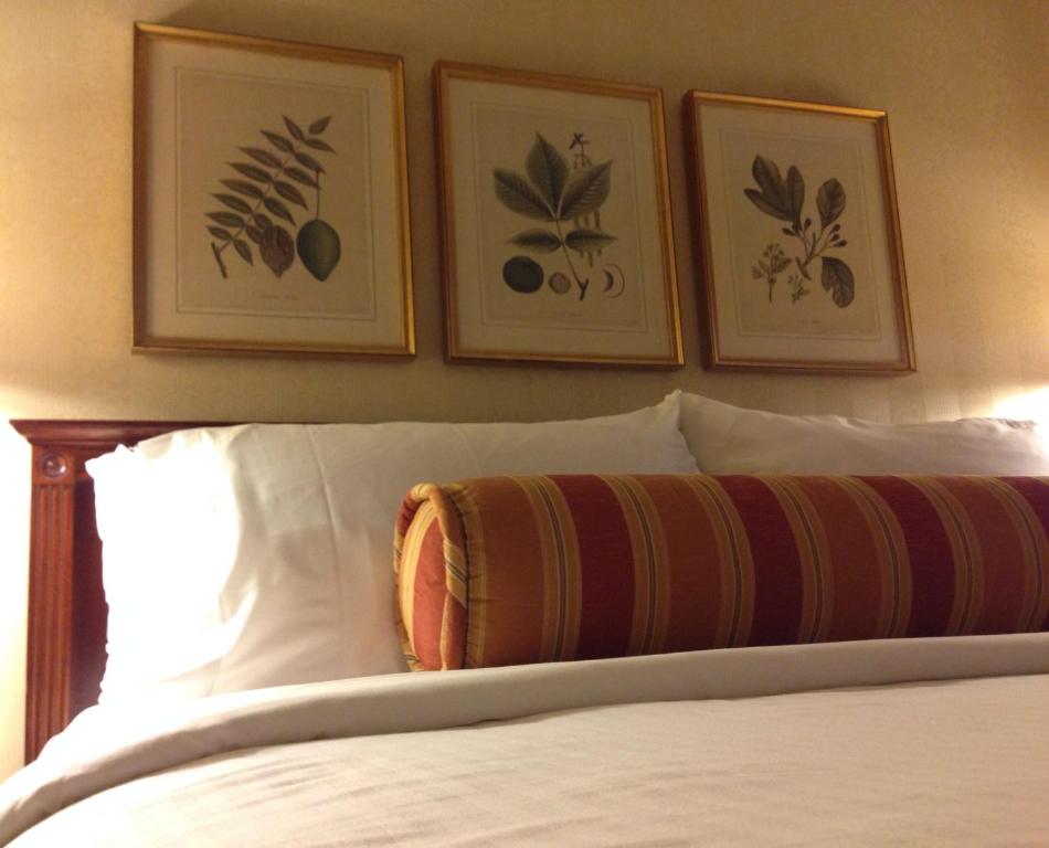 Mayflower Park Hotel - Queen Room
