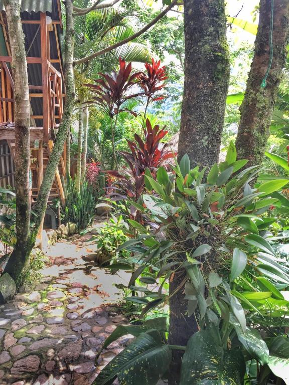 Zahrada ubytování Eco Quechua Lodge