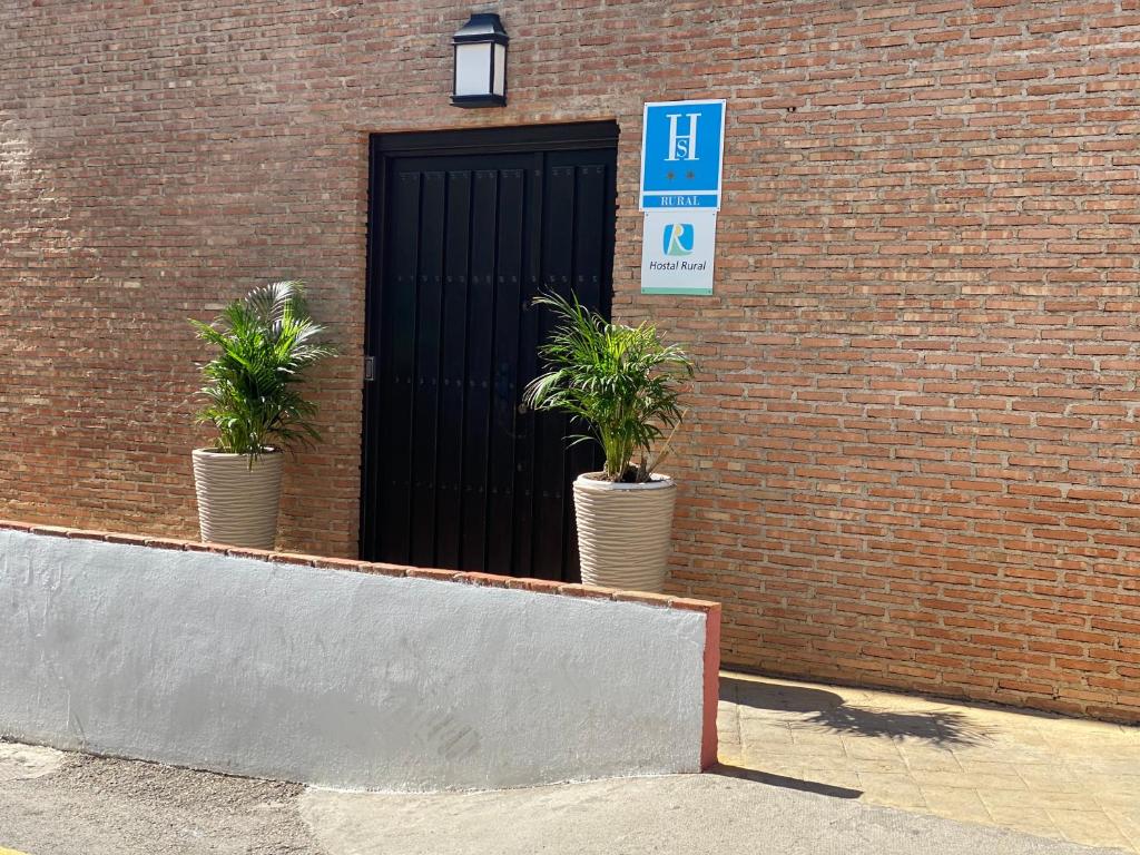 due piante in vaso davanti a una porta nera di Alcaidia De Magina a Cambil