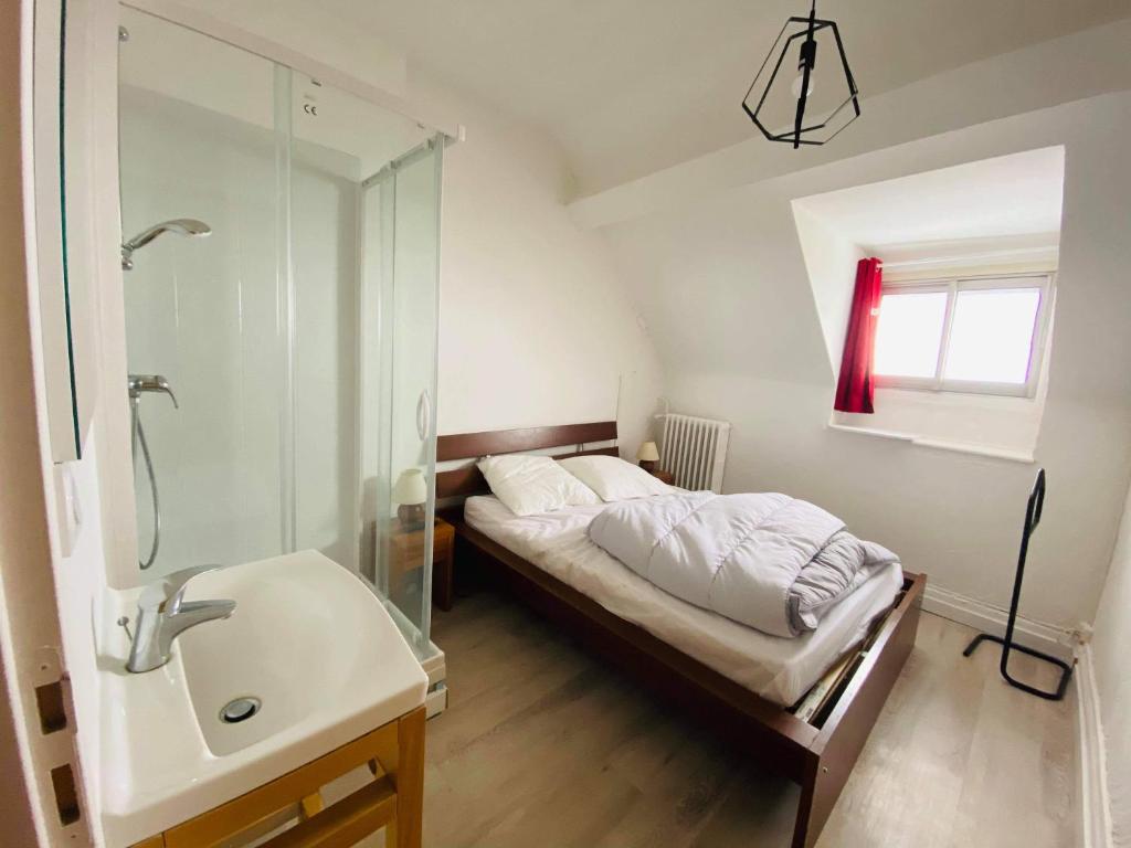 - une chambre avec un lit, une douche et un lavabo dans l'établissement Résidence Bardon-Perry, à Le Mont-Dore
