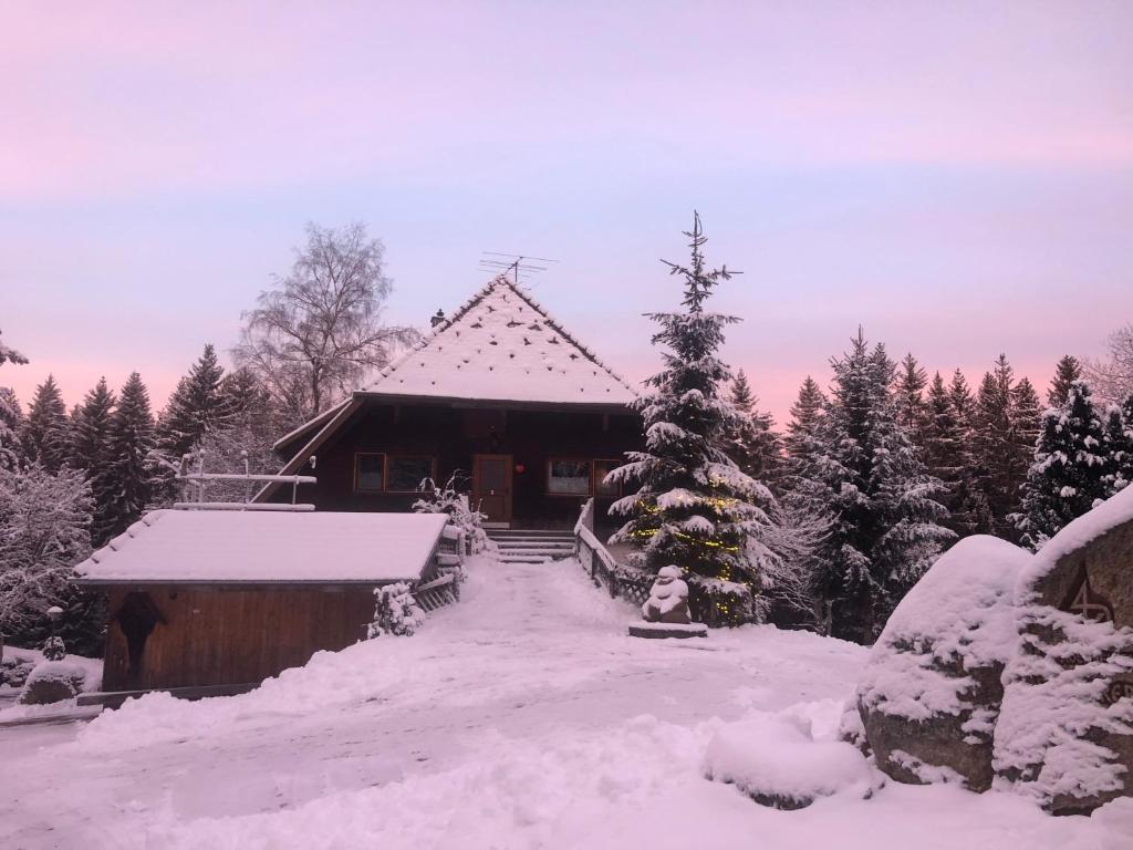 Fotografie z fotogalerie ubytování Bergwaldhof Schonach v destinaci Schonach