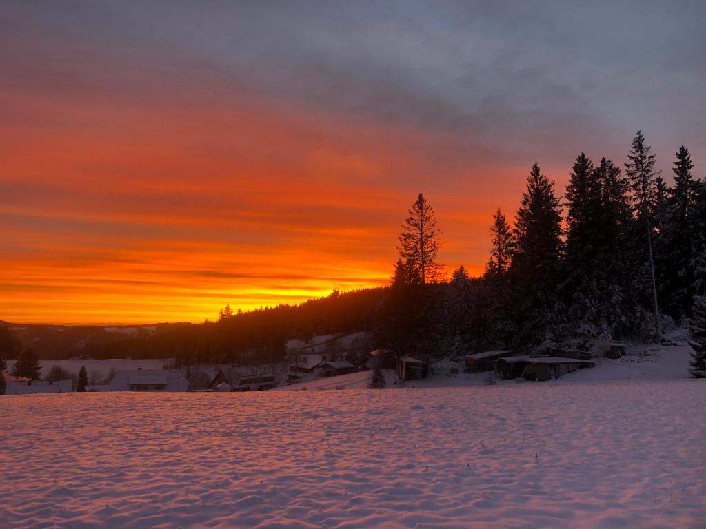 Fotografie z fotogalerie ubytování Bergwaldhof Schonach v destinaci Schonach
