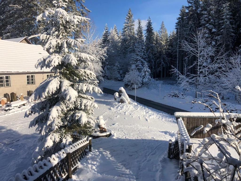 Fotografie z fotogalerie ubytování Bergwaldhof Schonach v destinaci Schonach