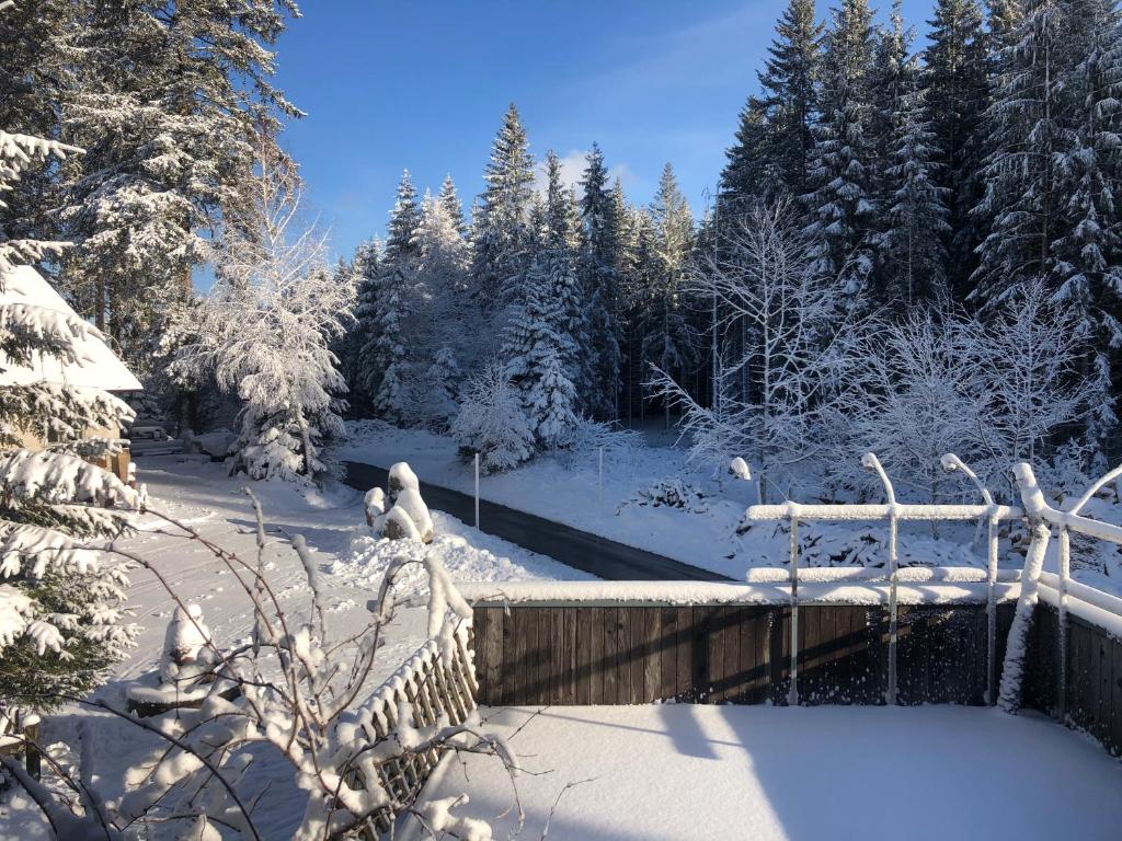 Fotografie z fotogalerie ubytování Bergwaldhof Schonach v destinaci Schonach