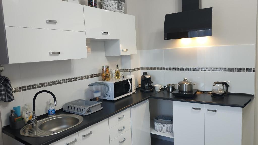 Apartamenty gościnne na szlaku - 1ベッドルームのアパート