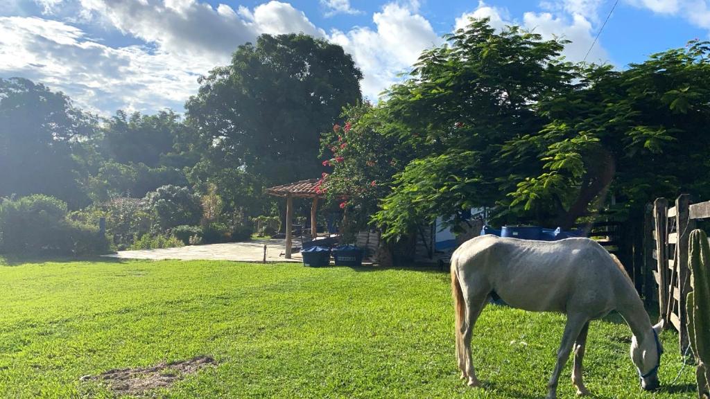  Fazenda Casarão dos Pireneus