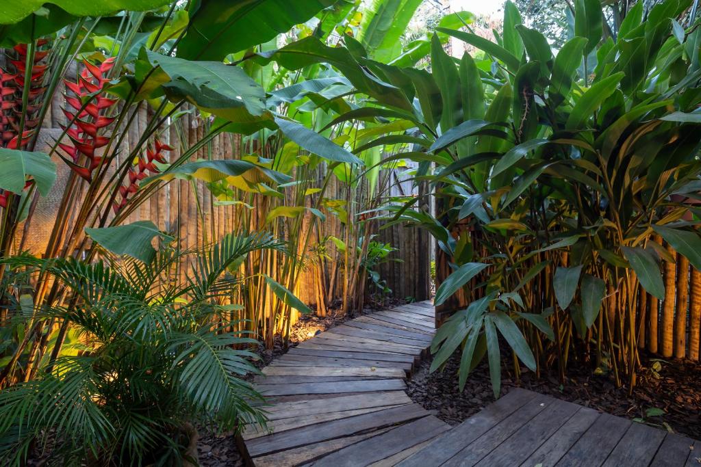 Casa BEE Trancoso
