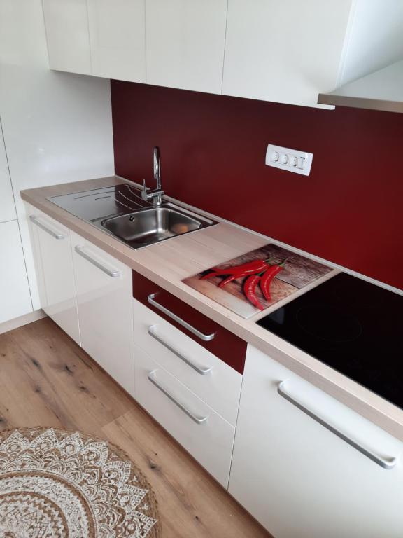 Kuchyň nebo kuchyňský kout v ubytování Apartma Rožle