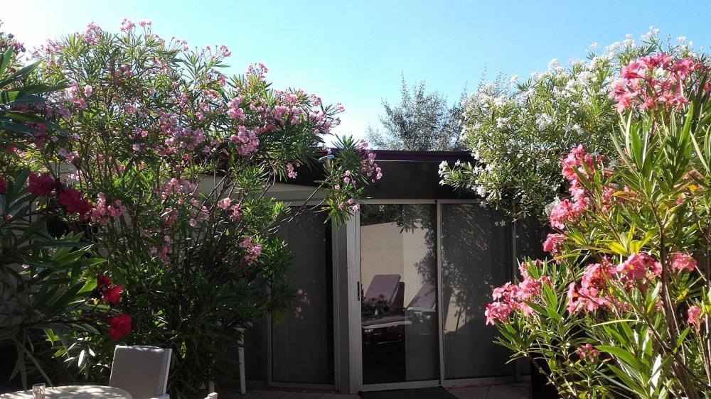 une salle de jardin avec des arbres et des fleurs roses dans l'établissement Maison ronde atypique et unique, à Torreilles