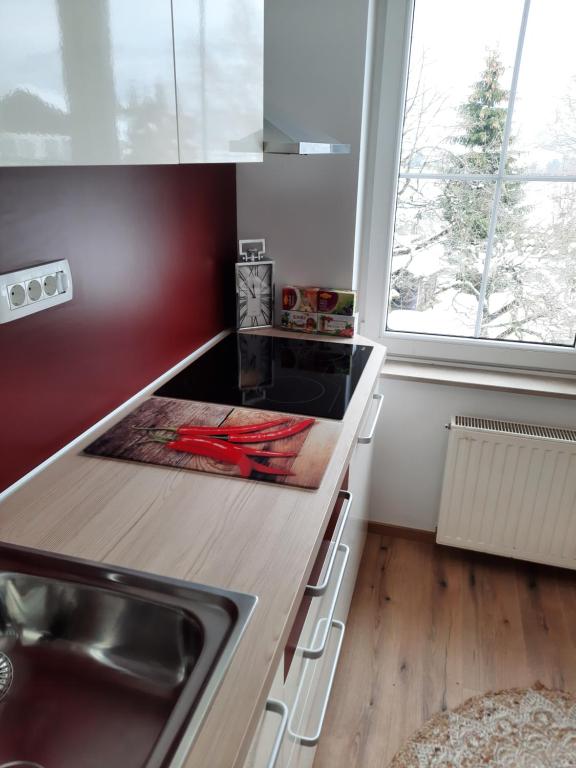 Kuchyň nebo kuchyňský kout v ubytování Apartma Rožle