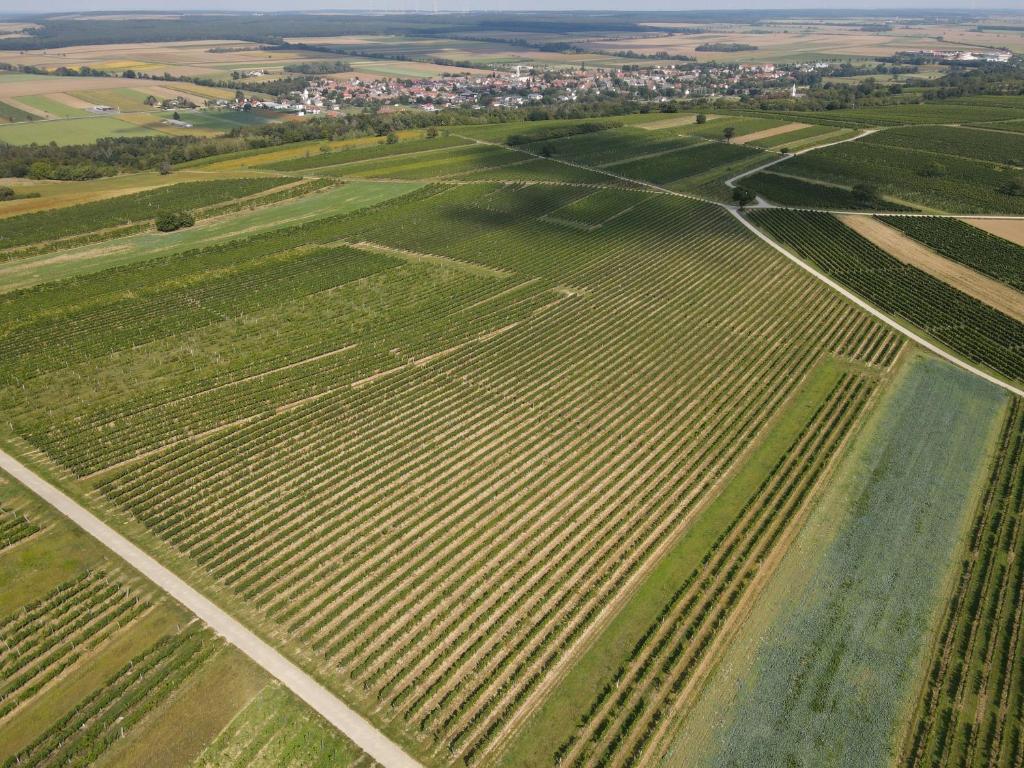 Příroda nedaleko penzionu