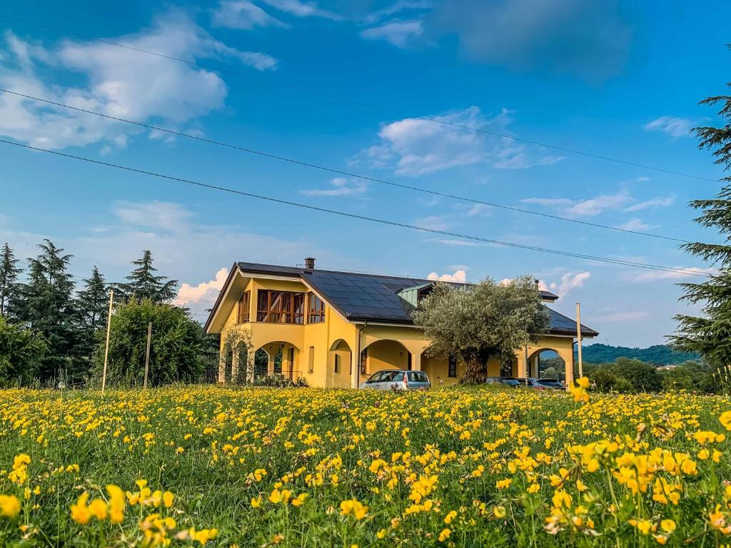 Zahrada ubytování B&B Alla Roggetta