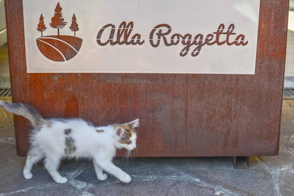 Domácí mazlíčci ubytovaní s hosty v ubytování B&B Alla Roggetta