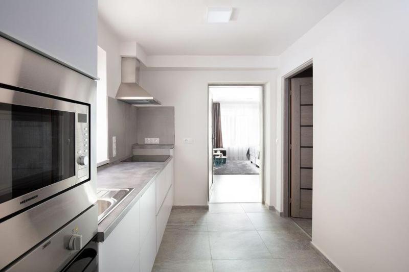 Kuchyň nebo kuchyňský kout v ubytování Trend Apartmanház -Vizslás