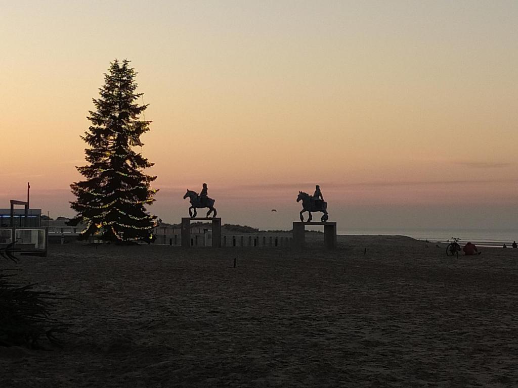 twee mensen die paardrijden op het strand met een kerstboom bij De Zandeters in Oostduinkerke