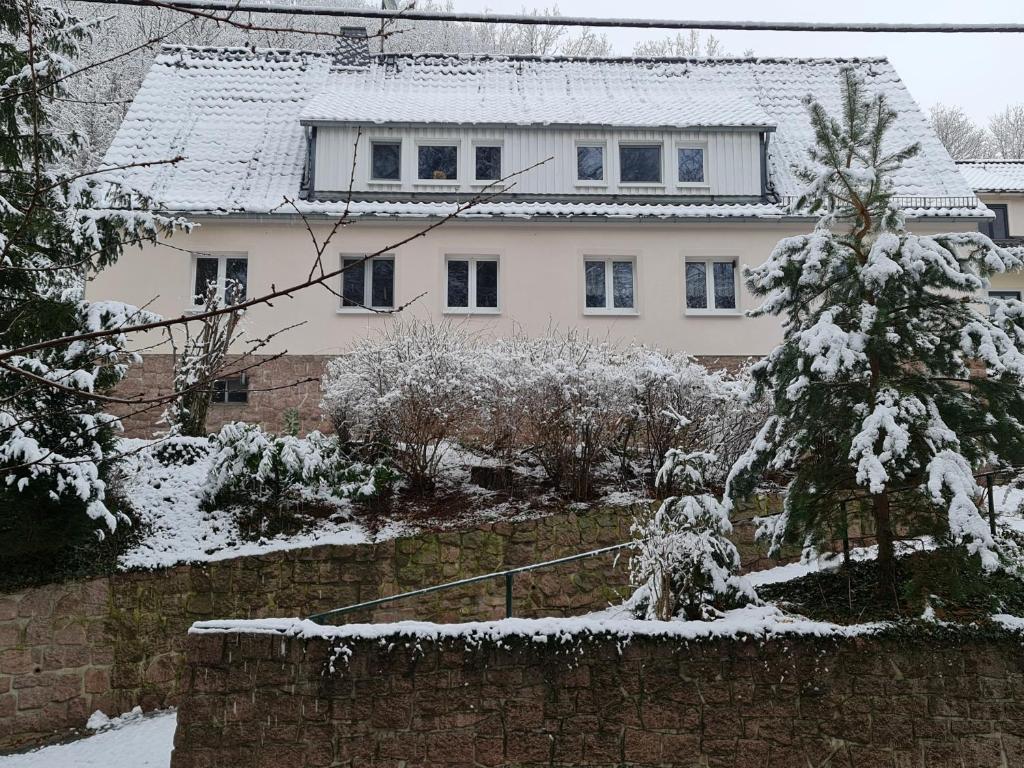 Ferienwohnungen an der Bosel v zimě
