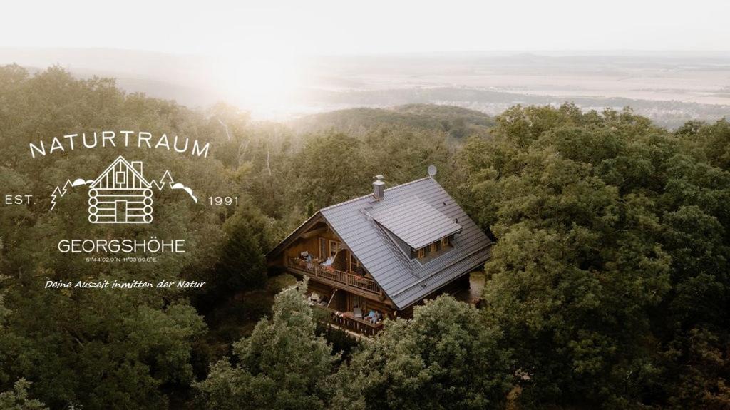 une vue aérienne sur une maison dans les arbres dans l'établissement Naturtraum Georgshöhe, à Thale