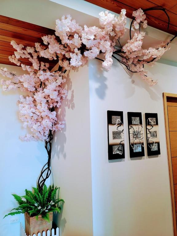 Fotografija u galeriji objekta 山水奇異San Shuei Kiwi桃園市民宿編號038 Homestay u gradu San-min