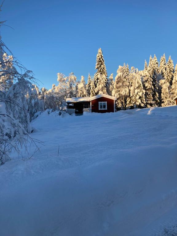 Bärvallen 388 v zimě