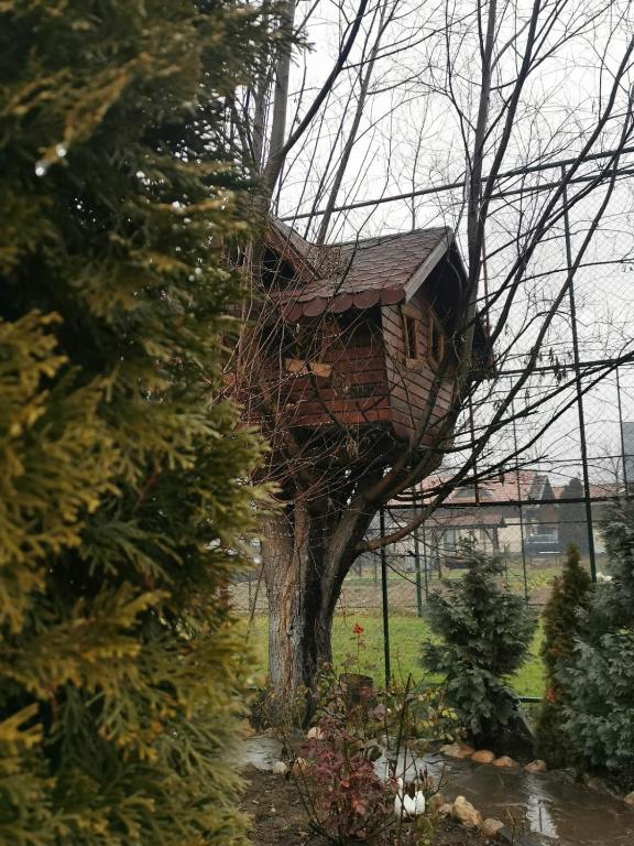 Zahrada ubytování Doftana Apartaments