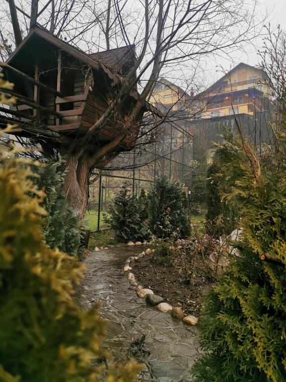 Zahrada ubytování Doftana Apartaments