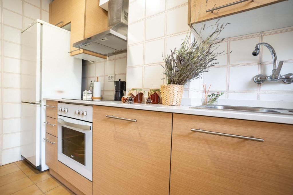 Kuchyň nebo kuchyňský kout v ubytování Apartamento Rural New Folch