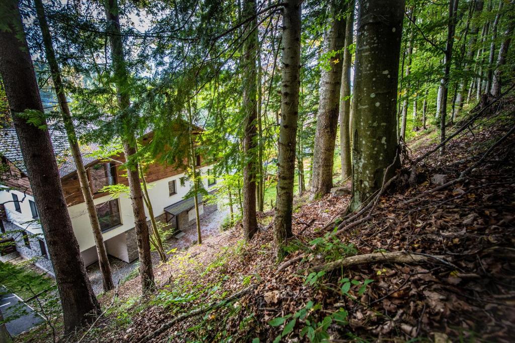 Příroda nedaleko apartmánu