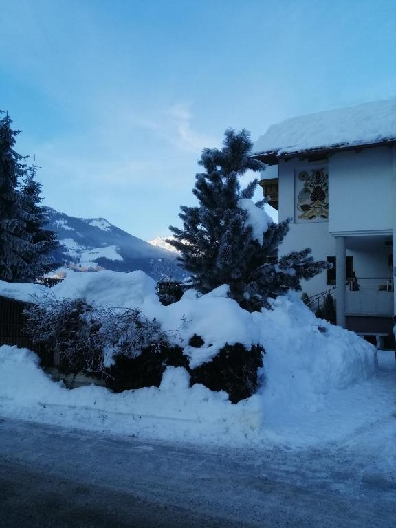 Příroda nedaleko apartmánu