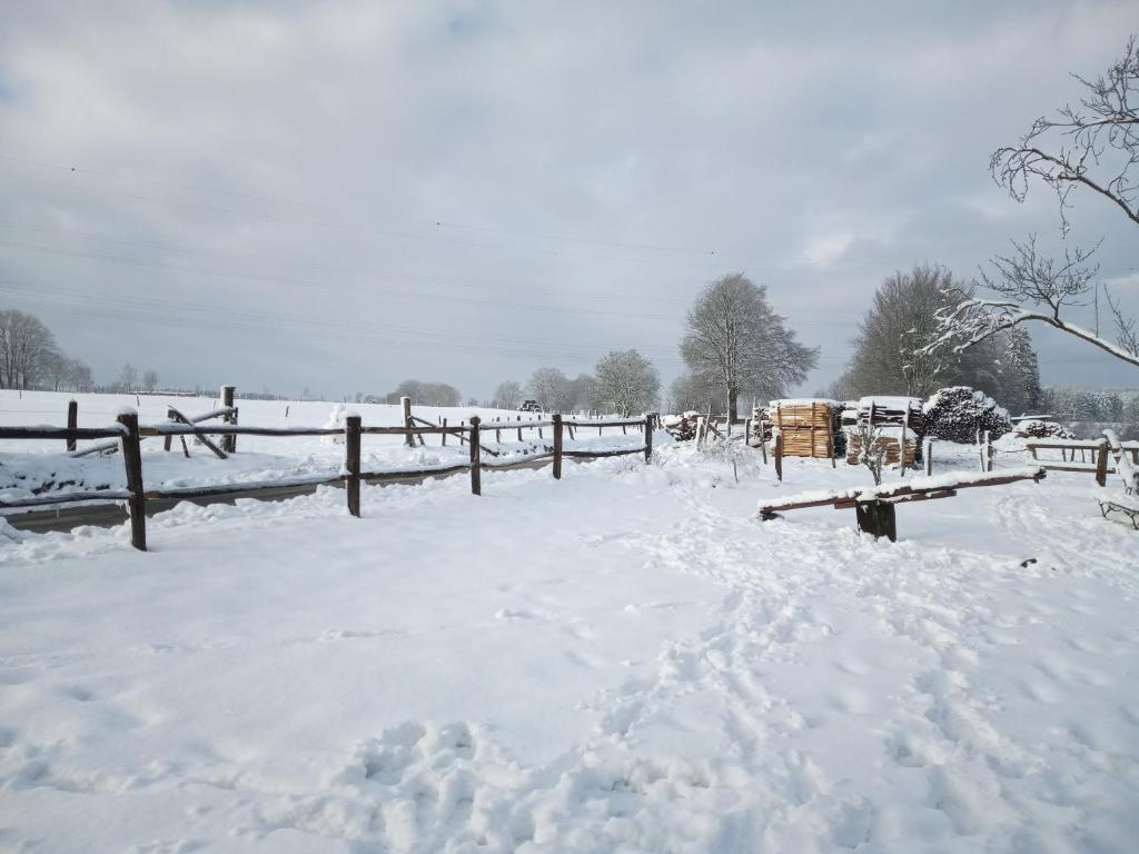 gîte Le cheval ardennais v zimě