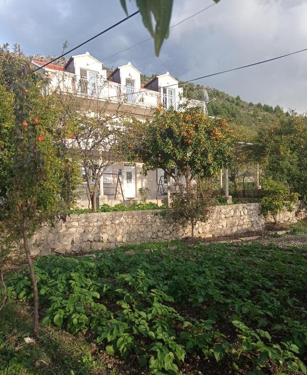 a house on top of a stone wall with trees at Apartment Nikola in Dubrovnik