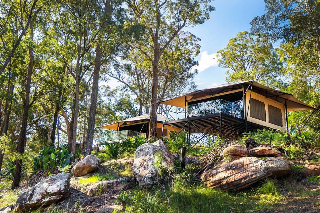 a tree house in the middle of a forest at Marramarra Lodge in Bar Point