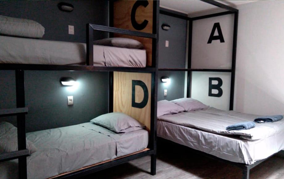 two bunk beds in a dorm room with twounks at Ruta Elqui in Pisco Elqui