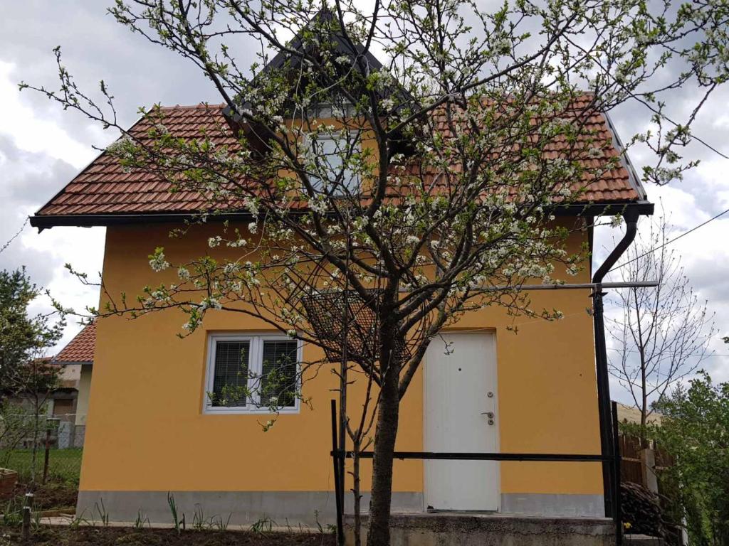 Una casa amarilla con un árbol delante. en Zlatiborsko jutro 1, en Zlatibor