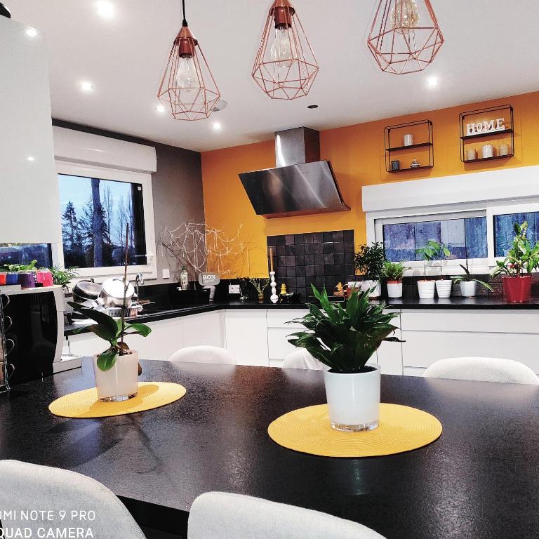 uma cozinha com paredes amarelas e uma mesa preta com plantas em La maison écolo de Nono em Dhuizon
