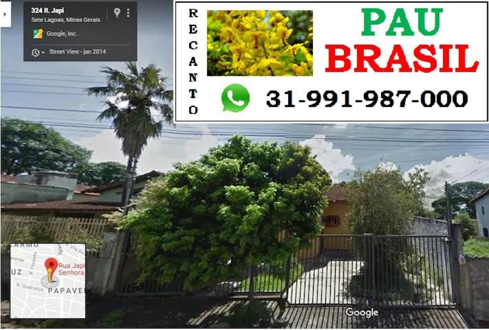a picture of a house with a fence and a tree at Recanto Pau Brasil in Sete Lagoas